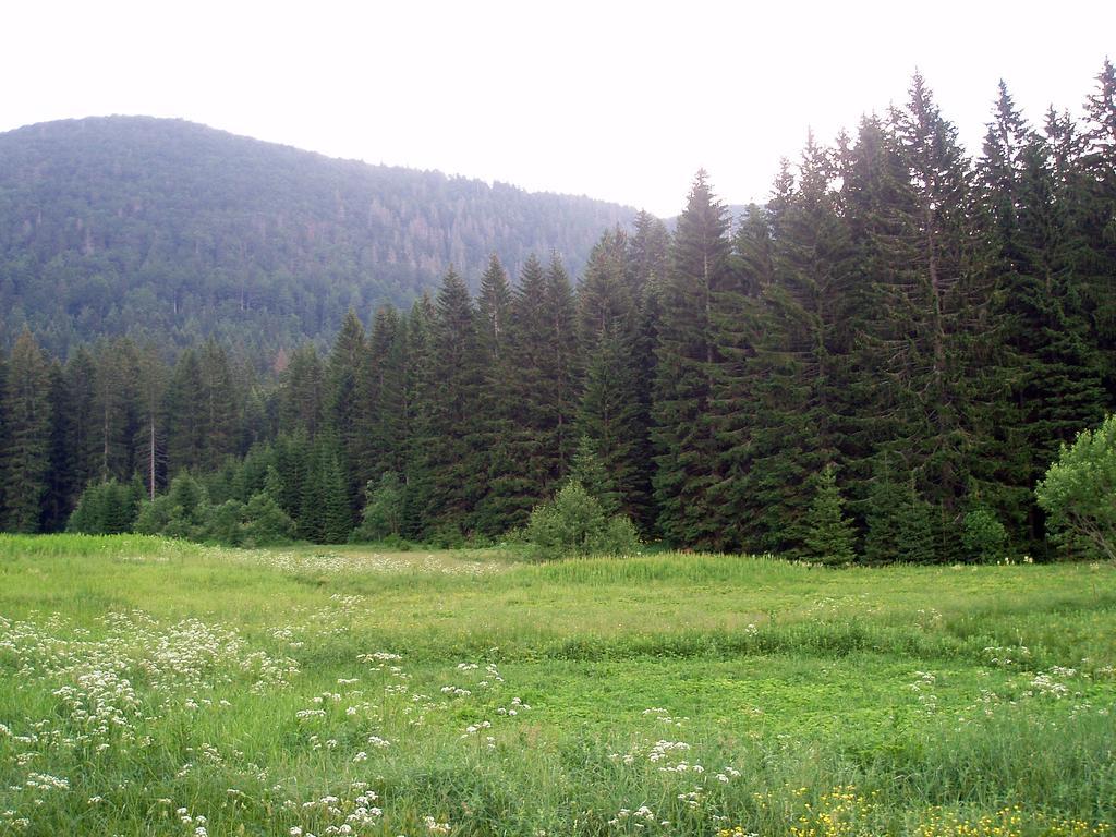 Chalet Sanjam Liku Villa Buzim Szoba fotó